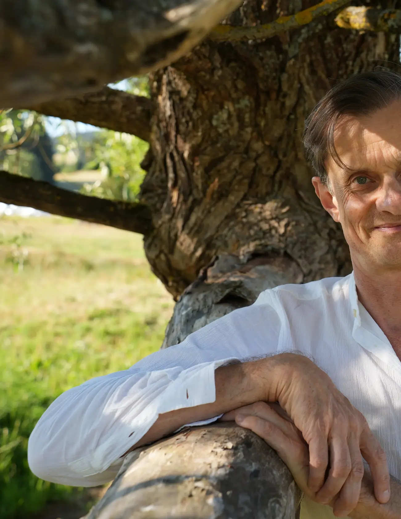 Die Hände des Tantra-Masseurs von Michael Köllner.